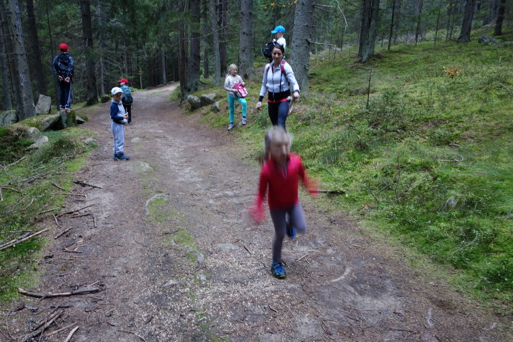 Srní 2014