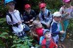 Srní 2014