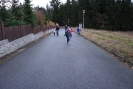 52-DSC03011